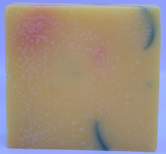 Citrus Circus Kid's Bar Soap